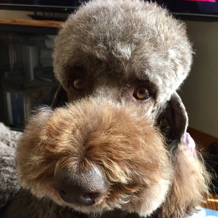 547d5971 d664 4f14 8e47 3b136007fb4c 1523632396845