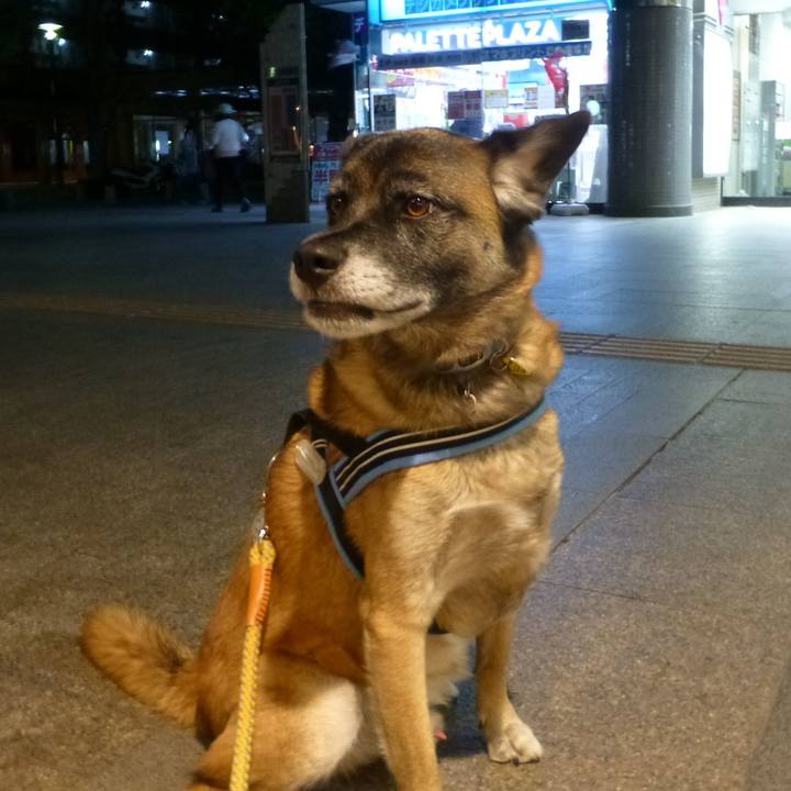 547d6110 f55a 48e0 98d7 d669edccaee3 1579132896929