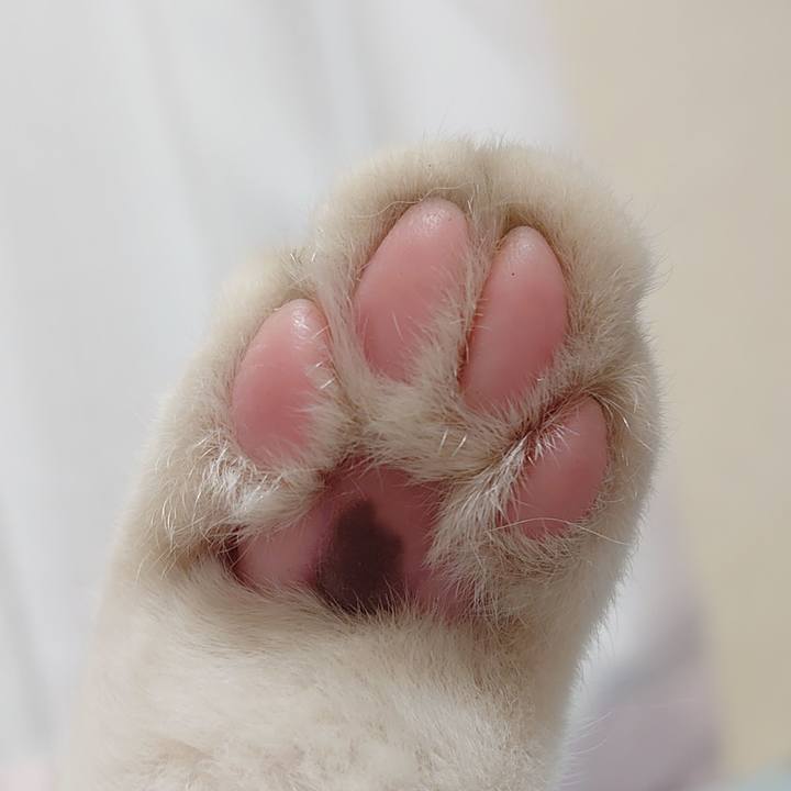 547d808a ba7a 4534 8589 4839e9aec6e1 1625317942943