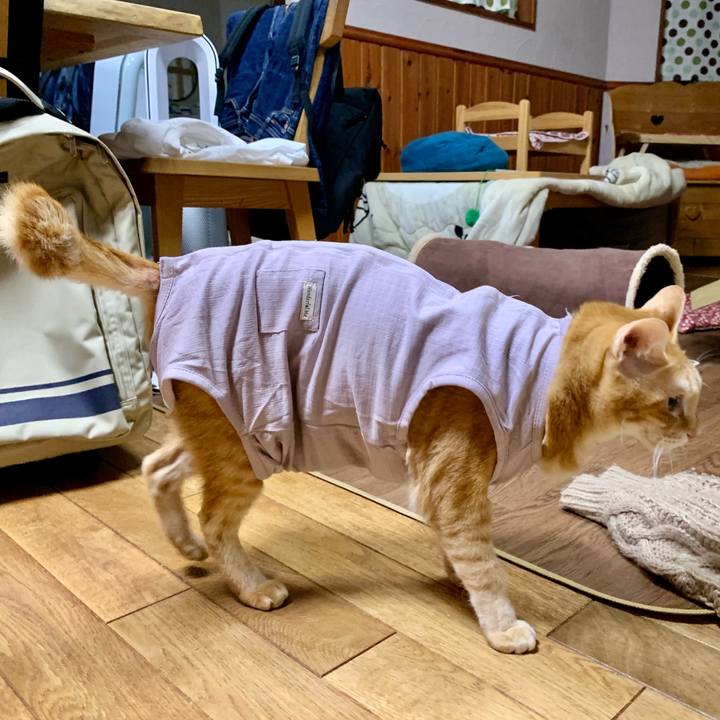 547d9580 b3c5 4ff7 8262 6c36f3e55cc7 1634473238445