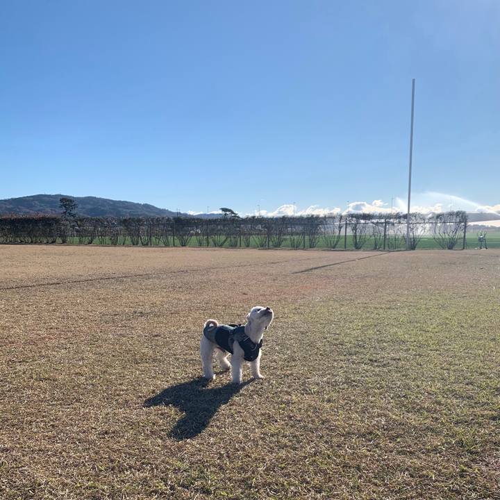 547d98b4 a426 46f2 b3f5 04bb556974be 1608201767496