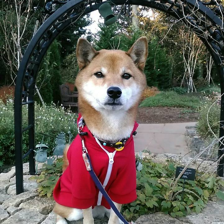 547df44c c17f 4fff b662 3a4ff5ecc849 1574398094692