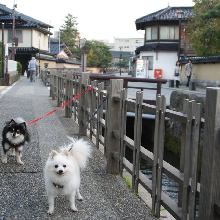 547e24a9 f072 4202 9bb8 74b2cda04a8e 1606213298597