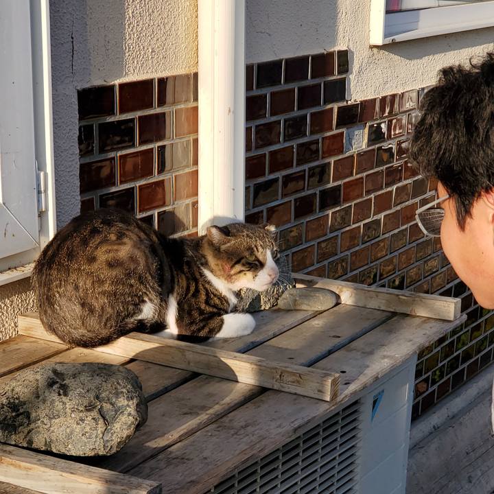 547e2a97 e20e 438f bf50 c66f66ff3689 1696950725898