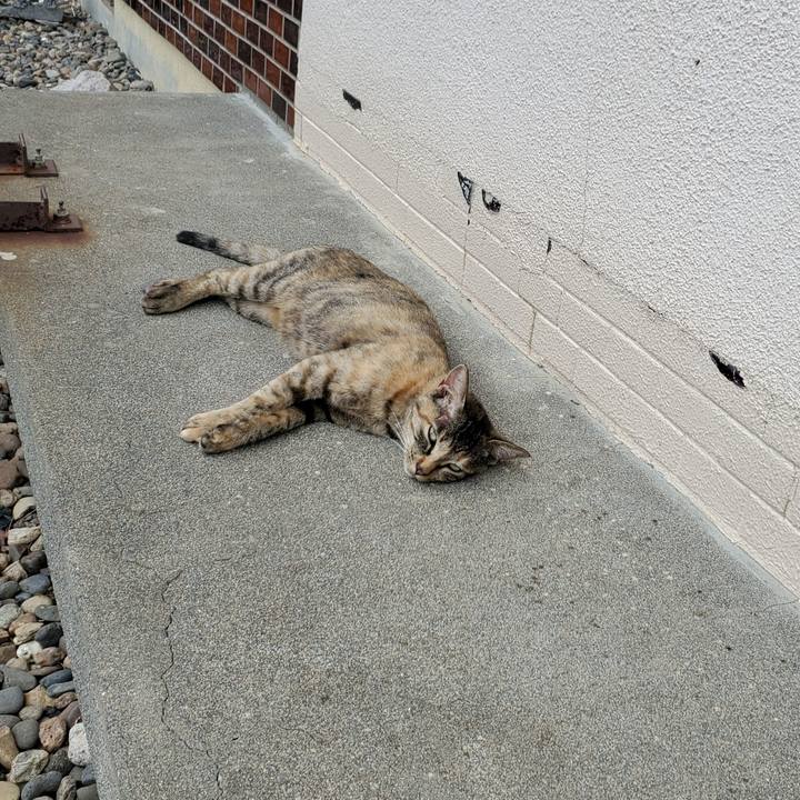 547e69aa 6bd4 409f aaf2 6aa17592b8ca 1694527009982