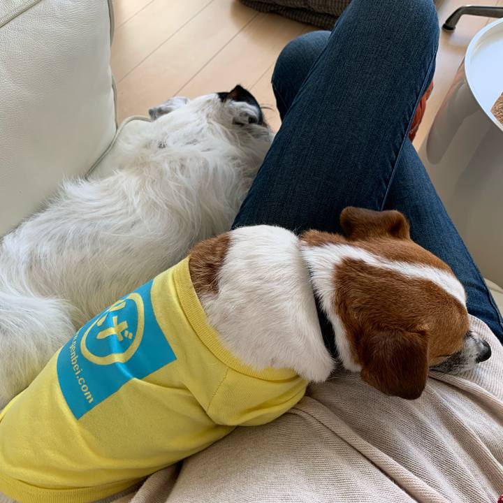 547e87e1 c42a 482d b46e f849ea8c83ce 1583908358535