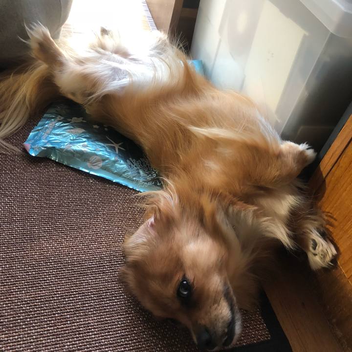 547e9c38 3361 47cc 8d63 4d5da675ecee 1537349726610