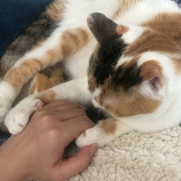 547eae4b f8fc 42a1 954d d04a8f421a25 1590637108937