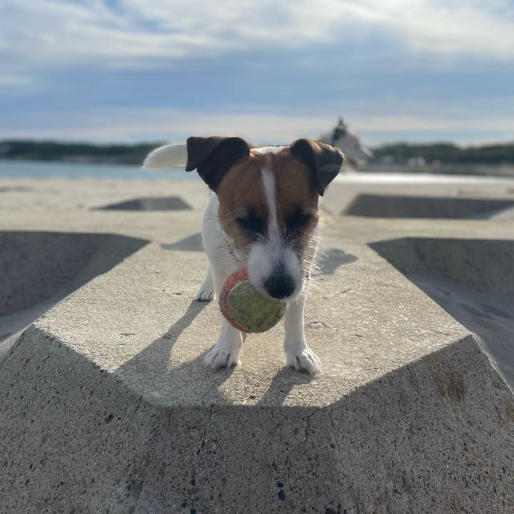 547eae5f 5761 499e 9dca 276604c02fe1 1695598629847