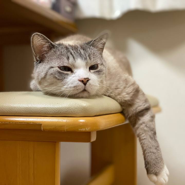 547eb035 0612 490a bb4c 6433cceecd0b 1617849330295