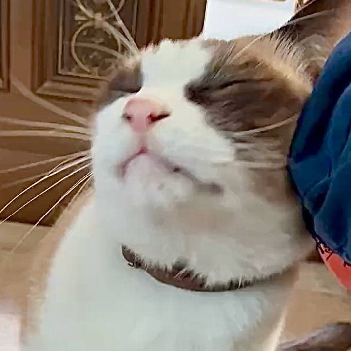 547ebf07 91ed 4c11 9904 5b7cb8a64ae3 1764037651489