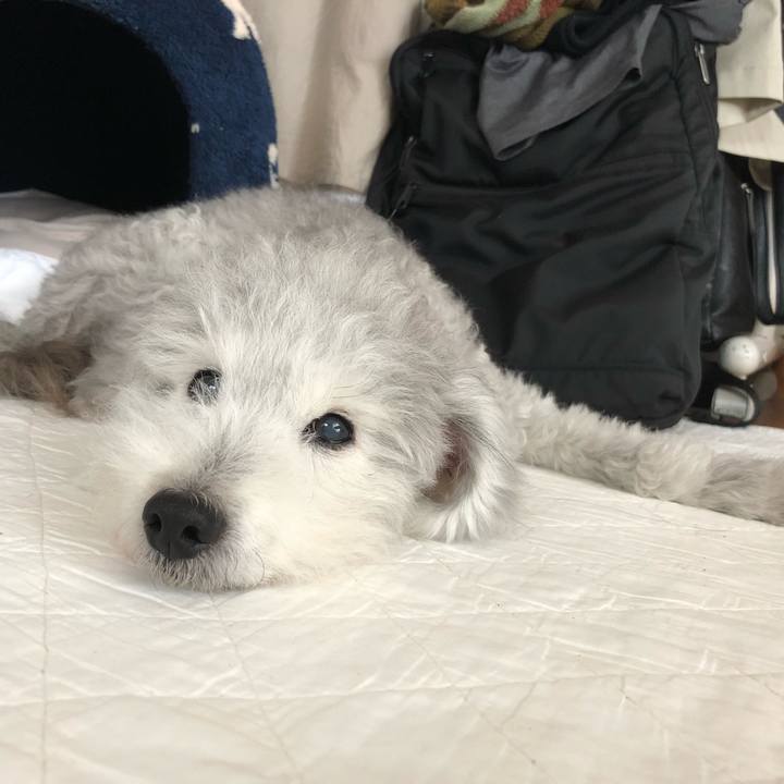 547ec52c e10b 4b8e a0a9 e1f1e4e83db7 1593309917772