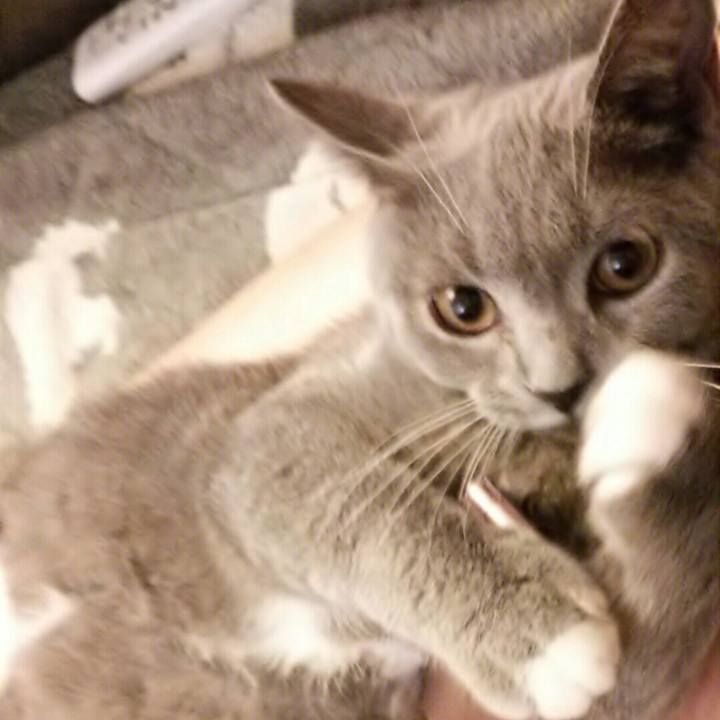 547ed583 d645 48b8 b7f3 a8460662176a 1537065896432