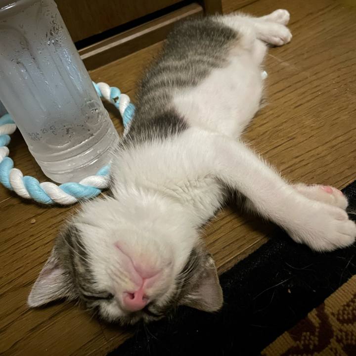 547f04ba 53cd 487a b109 0cd49b0a2e72 1721480116900