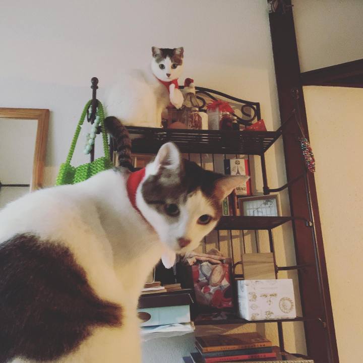 547f60d3 fb91 4480 b42d dd93584f066c 1608915681343