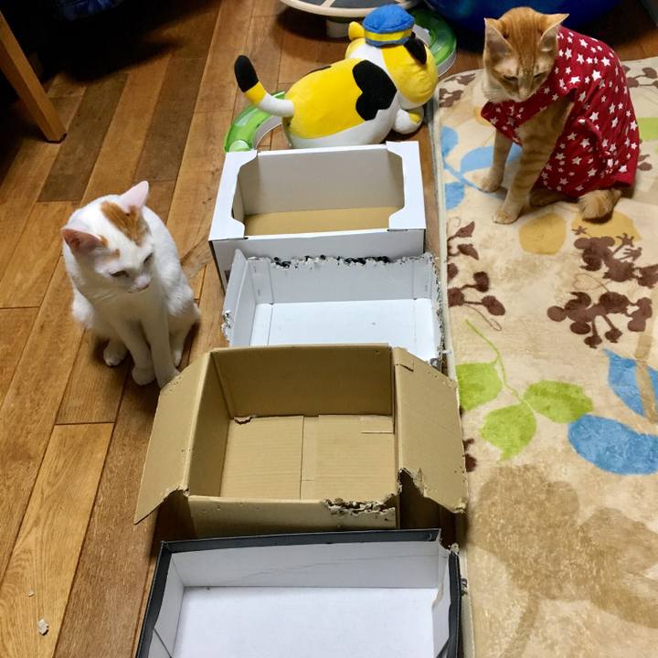 547f6ed6 87d1 4974 a202 837045072d63 1512826790820