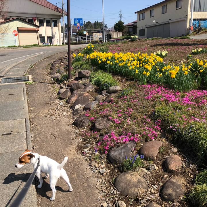 547f7e59 49c5 4268 b39c 0733adb298fd 1524142069244