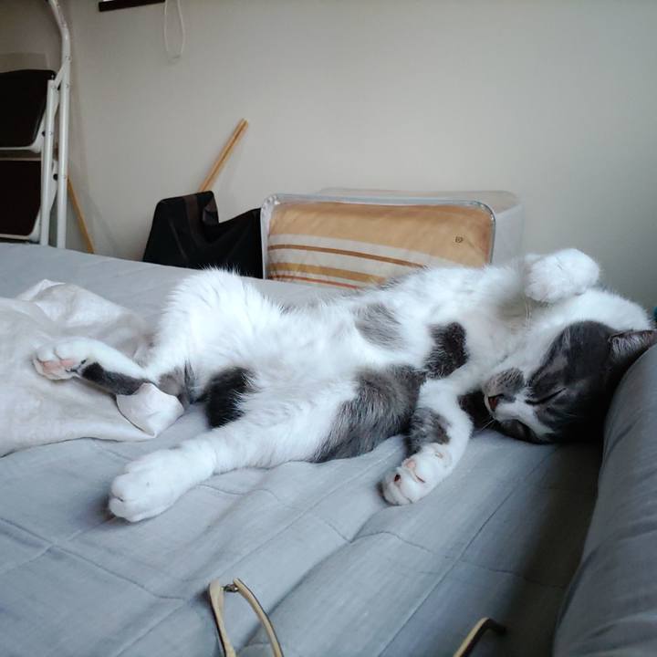 547f8008 ea3c 4c99 8d75 e6cd0aca7545 1662980935134