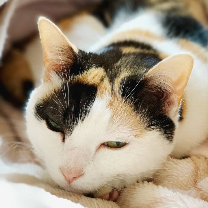 547f8883 65f5 4ede b375 554b68eb9697 1584756601510