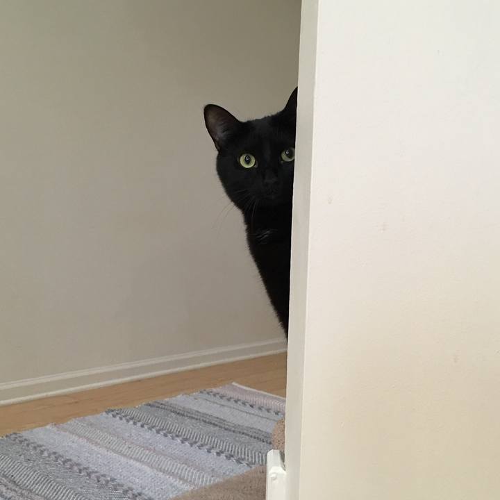 547f9f66 297d 4622 a3fc c974038cceb6 1540267444601