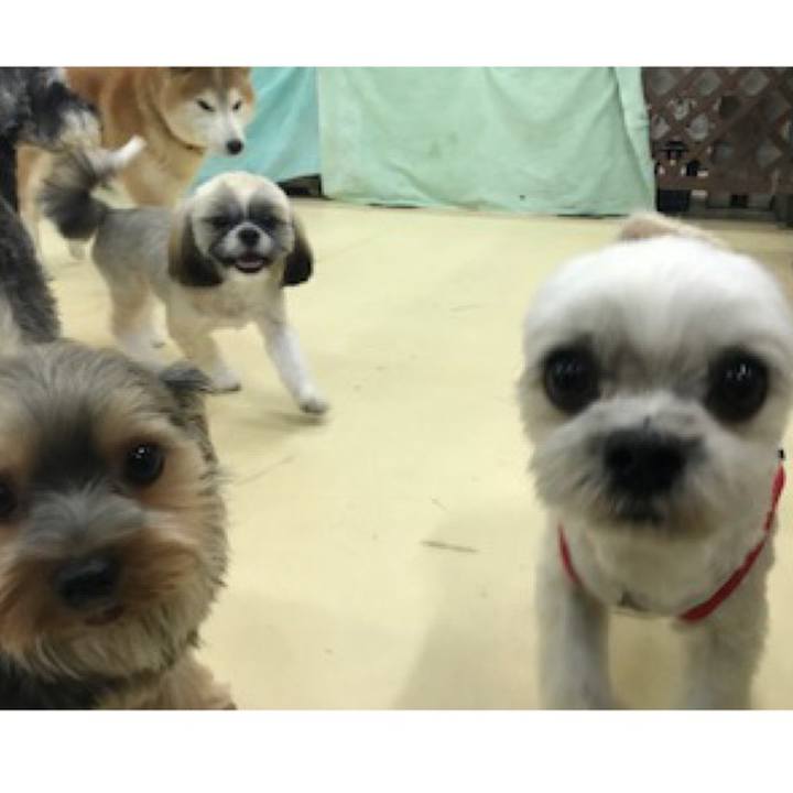 547fcea6 3327 42ed b679 cfbcd607fc1d 1573122176976