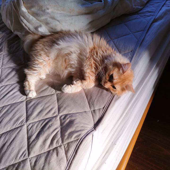 547fe408 1b37 4a2c baf4 31fae0974670 1695074731423