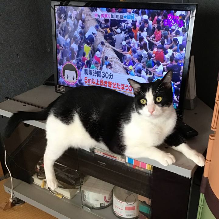 548000f2 c844 4107 a704 793269be1ac3 1693656037558