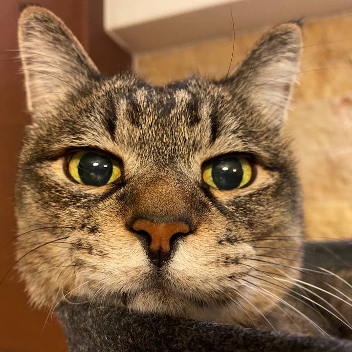 548039cd dfa1 44d4 8025 80439195bb7d 1644567691033