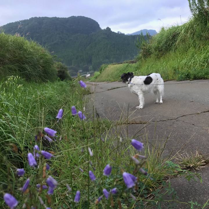 54804e79 3e4e 4c83 92e9 c01c04141cce 1537017111752