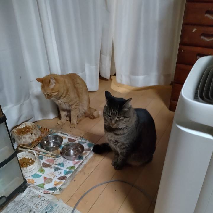 54805570 c2dc 421f 9777 14dbc63a493b 1700905895149