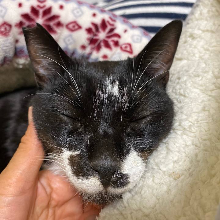 54806261 a395 48d0 9d37 bfaa2df57581 1683885073152