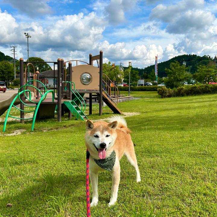 5480697f 5893 40a9 895a e09c07ad6be3 1720178539469