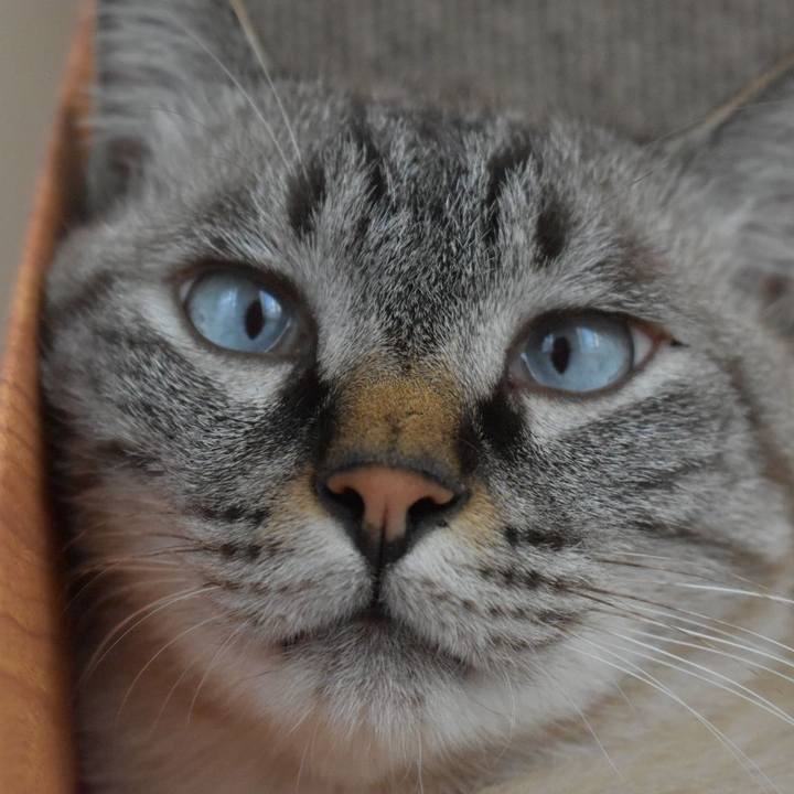 548084ae f27a 4939 85ce 629c13c35771 1567931751722