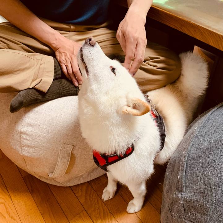 54810b0a 8ccb 4e51 9638 08c4753067d0 1656708174865