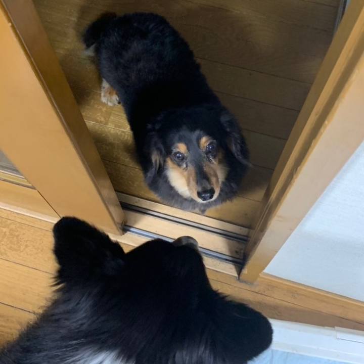 548115b3 5236 4b92 bfc2 08f8d3f4dd95 1558389963175