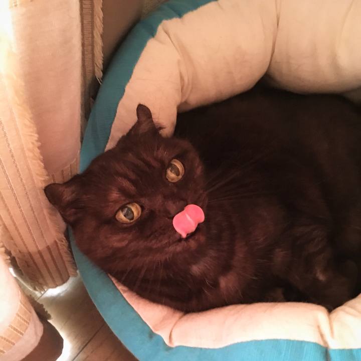 54813126 ba64 42d6 857b 23c2667fe5f9 1569742047202