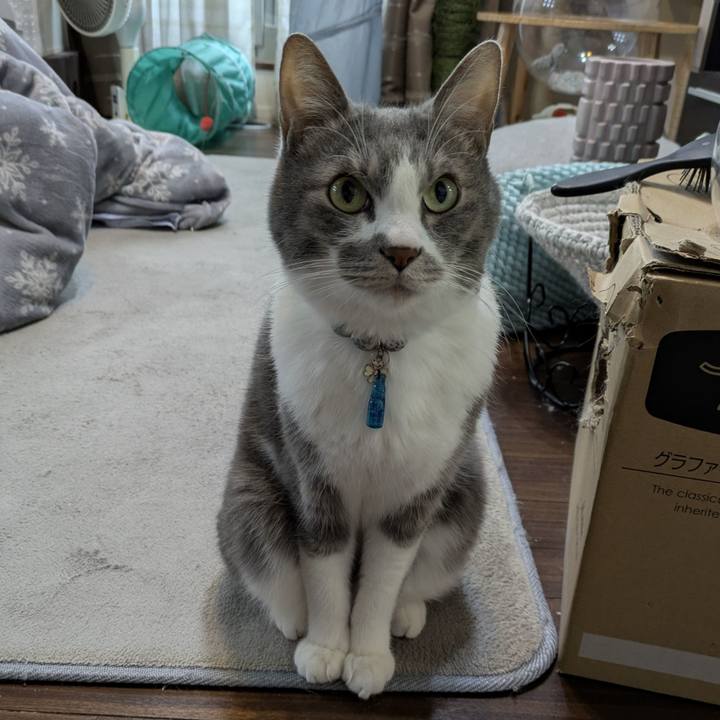 54817c7e c2dc 4ebf 990d df13fcf2ccac 1767578134296