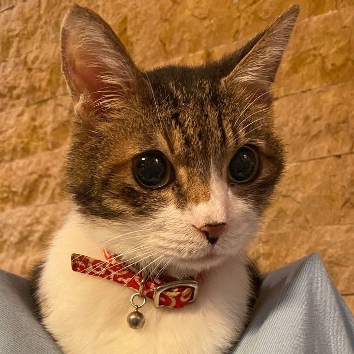 54819b16 f6c0 4d86 aae3 fd054a711971 1579864693645