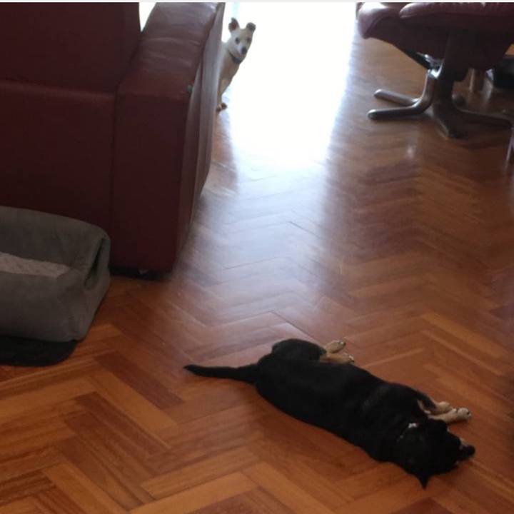 5481da55 3e03 473a a811 43f257bc3475 1769567947170