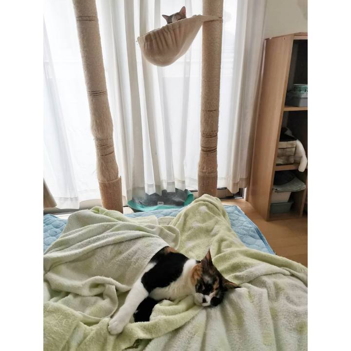 54820adc bac0 498b b078 45d6d366187e 1623988784181