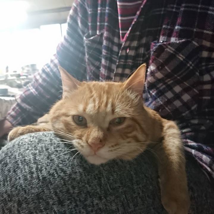 548261a3 4173 4652 8b1a 91b36387efaf 1649980465838