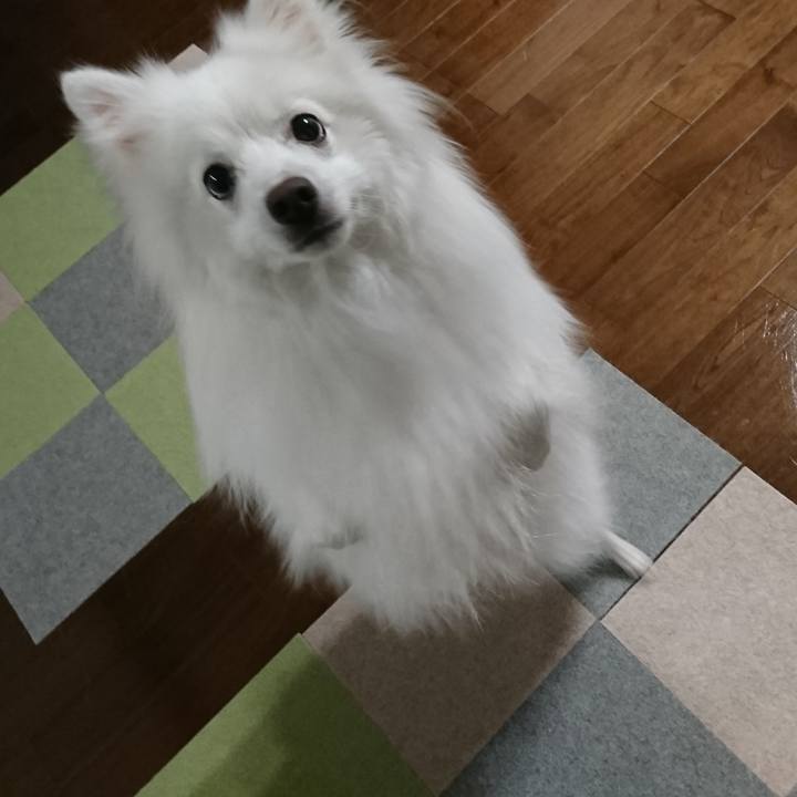 54827332 4429 4b3e 86e8 f99d6bdd4763 1603982927806