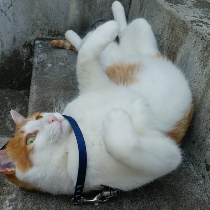 548273ee d7c7 4565 b939 a996d8b7ad6e 1525595279876