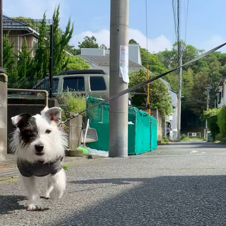 548280b7 6ed9 4708 80d9 463e4322f23e 1652833333968