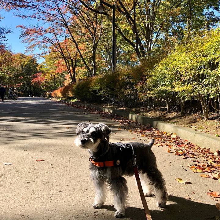 54828c3d ce7e 4766 a615 2cd3c1af2adf 1699163110892