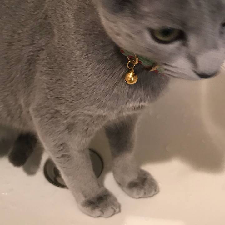 54829d77 a550 4bbd acdf 8bbafbe14f09 1512558865049