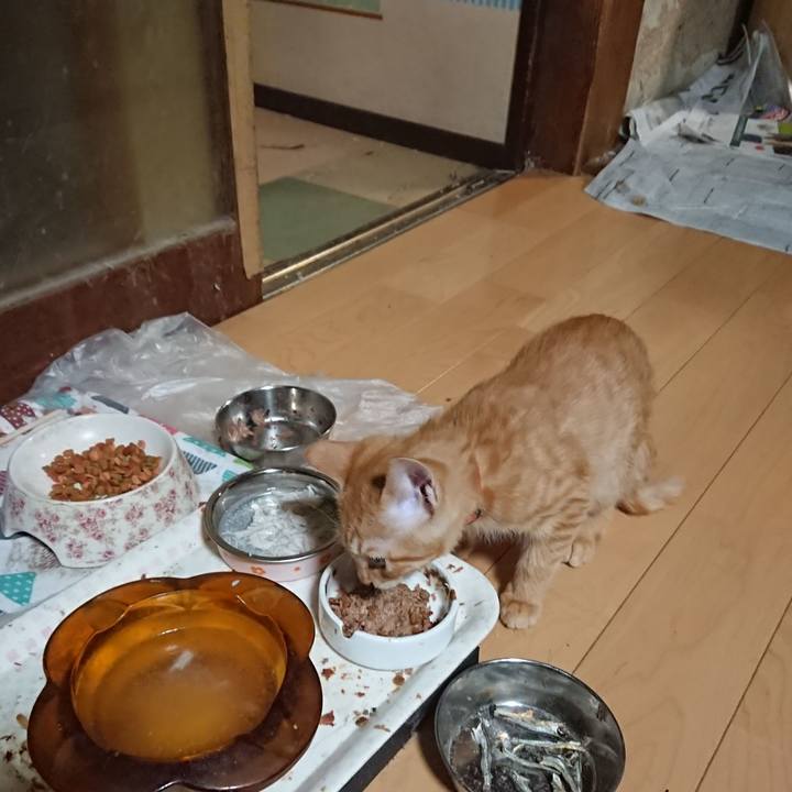 5482e32f f845 4d09 b85c c338730a41bd 1632995866676