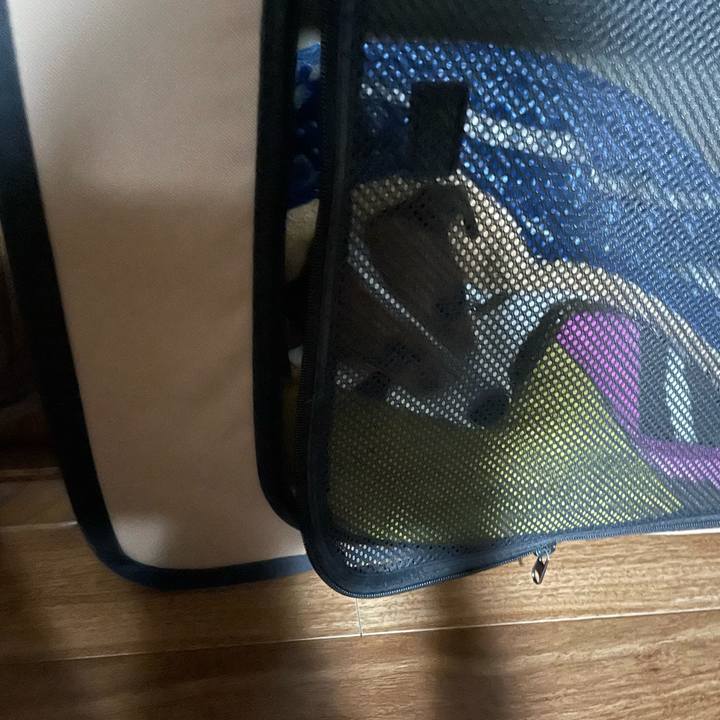 54831ce4 fcc2 4134 9bf6 85cf2f85cdf5 1644234353859