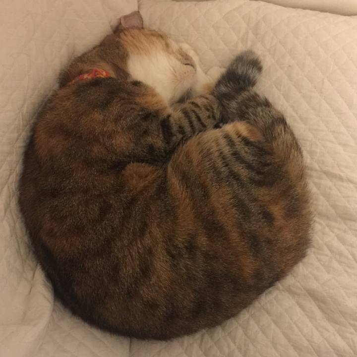 54836911 31af 49b5 9b64 32d6ade4e14b 1549724973047