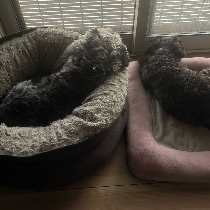 54838e58 a616 4463 9d22 a1683c25387c 1723536585628